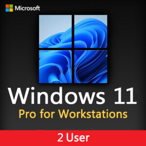 Microsoft Windows 11 Pro for Workstations 2User