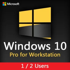 Microsoft Windows 10 Pro for Workstation 2 Users